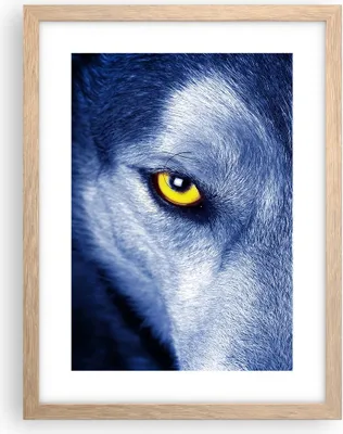 Produktbild von Gerahmtes Poster - Rahmen in heller Eiche - Schau der Wolf Augen - 30x40 cm - Wand Bild - Wanddeko - Wandbilder - Kunstposter - Wandposter - Bilderrahmen - Bilder - Kunstdruck - P2NPA30x40-4587