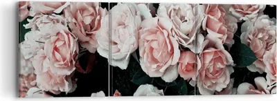 Produktbild von Bild auf Leinwand - Leinwandbild - 3 Teile - Rosen Blumen Blätter - 90x30cm - Wand Bild - Wanddeko - Wandbilder - Leinwanddruck - Bilder - Wanddekoration - Leinwand bilder - Wandbild - CA90x30-4760