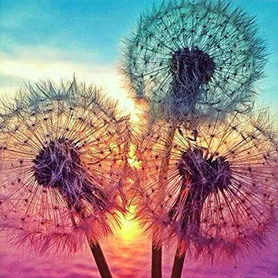 Produktbild von GKA 5D Diamant Malerei Pusteblume Kristall Kits Malen nach Zahlen 30 cm Handarbeit Löwenzahn Gemälde Hobby