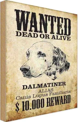 Produktbild von vianmo Holzschild 18x12 cm Hund wanted dead Dalmatiner Tier Haustier