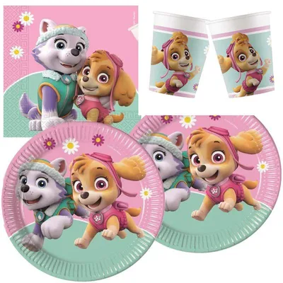 Obrázok produktu pre Paw Patrol Skye a Everest – party sada, 52 ks