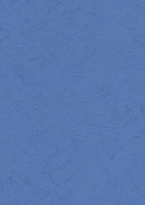 Image de couverture de reliure pavo structure cuir DIN A4 bleu 100 couvertures de reliure