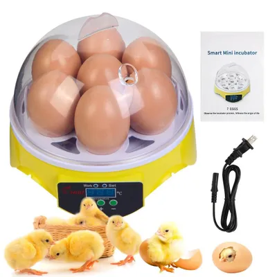 Produktbild von Brutkasten 7 Eier, Inkubator mit Temperaturregelung, 360° transparent, manuelles Wenden, für Hühner Wachteln Papageien, ideal für Kinder & Anfänger