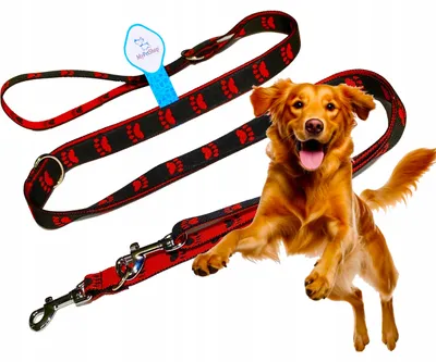 Produktbild von MyPetShop Verstellbare Hundeleine 3,2m für Training
