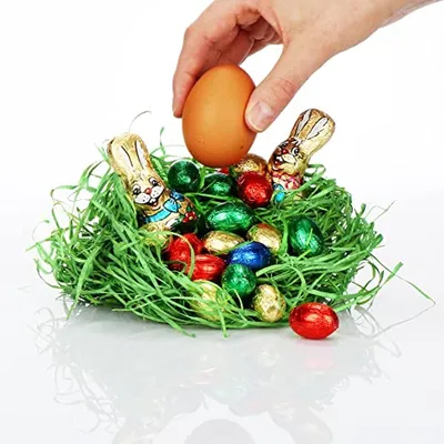 Grünes Ostergras zur Dekoration und Basteln - 125g für Osternester