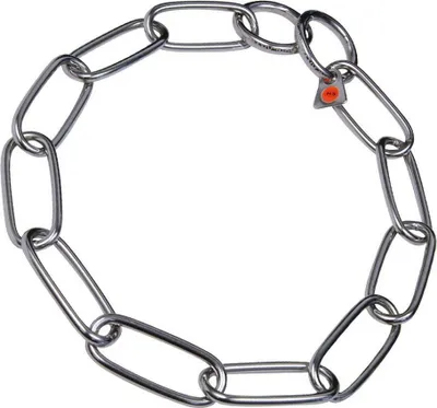 Zdjęcie produktu dla Obroża dla psa Hs Sprenger w kolorze srebrnym z długim paskiem (59 cm)