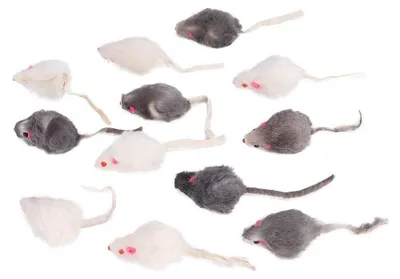 Produktbild von 12 interaktive Katzenspielzeuge, Plüschmäuse mit Quietschgeräuschen