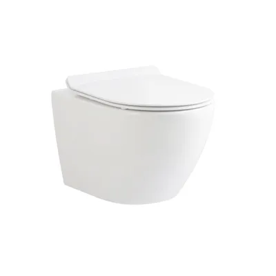Obrázek produktu pro BELVIT Závěsné WC bez okraje, lesklá bílá, tvar D a zkrácené o 49 cm – závěsné WC bez splachovacího okraje s odnímatelným sedátkem Duroplast se systémem Soft-Close