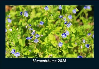 Produktbild von Blumenträume 2025 Fotokalender DIN A5