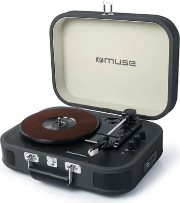 Obrázok produktu pre Prehrávač Muse Mt201Dg