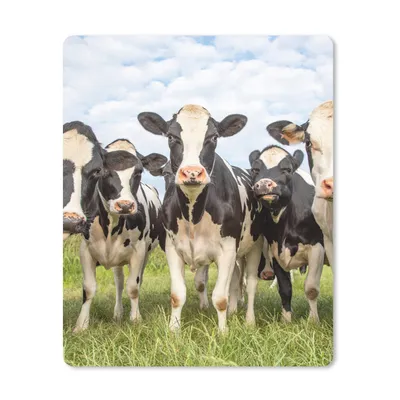 Produktbild von MuchoWow® Mauspad Mousepad Kühe - Weide - Tiere - Natur - Gras 30x40 cm - Mousepads - Maus Mat - Pad - Mausunterlage - Mausmatten