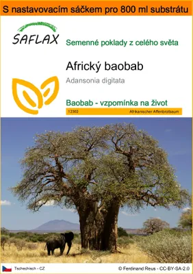 Obrázek produktu pro SAFLAX Garden in the bag - Africký baobab - Adansonia digitata - 6 Semena - S pěstebním substrátem v praktickém samovztyčovacím sáčku