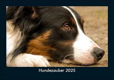 Produktbild von Hundezauber 2025 Fotokalender DIN A5
