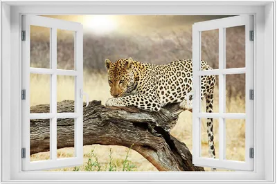 Produktbild von Wallario Wandbild mit Fenster-Illusion: Leopard auf Baumstamm in Afrika, Größe: 61 x 91,5 cm, Poster mit weißem Aluminiumrahmen