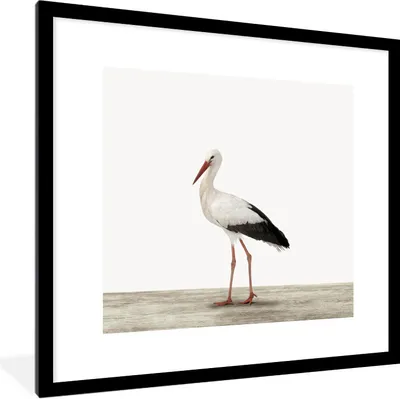 Produktbild von MuchoWow® Gerahmtes Poster Storch - Vogel - Tiere - Jungen - Kinder - Mädchen 40x40 cm - Poster mit Schwarzem Bilderrahmen Wandposter Rahmen Foto Bilder - Poster - Plakat im Rahmen