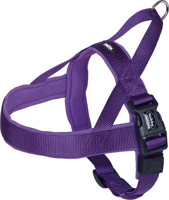 Image de Nobby Norwegergeschirr Classic Preno lila L : 38-50cm + 36cm