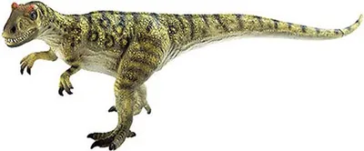 Produktbild von BULLYLAND Allosaurus, 3 Jahr(e), Grün, 1 Stück(e)