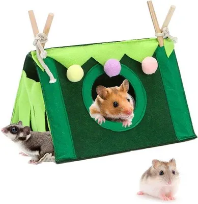 Image de Maison pour petits animaux - Tente à trois côtés pour hamsters et lapins - avec perchoirs (vert)