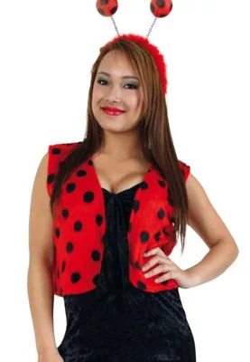 Produktbild von Damenkostüm-​Set Marienkäfer, 2-TLG Plüsch - Weste und Haarreif mit Fühler, rot, schwarz | M, XL | Tierkostüm, Karneval, Fasching, Mottoparty (M)