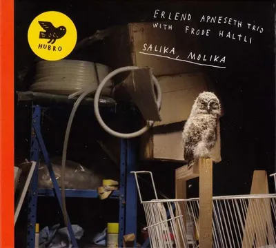 Produktbild von Erlend Apneseth: Salika, Molika
