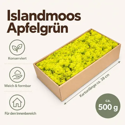 Islandmoos Apfelgrün, Apfelgrün, 500 g – Maße und Liefermenge auf einen Blick