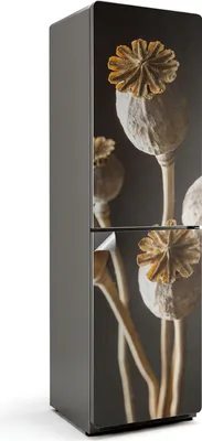 Produktbild von Geometrisches Mandala-Muster – Kühlschrank Aufkleber – Klebefolie Kühlschrank – Kühlschrank Dekor – Kühlschrankfolie selbstklebend – Küchen Dekoration – 60x205 cm