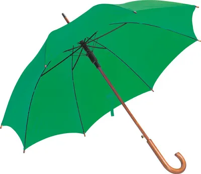 Produktbild von Automatik-Regenschirm / Farbe: grün