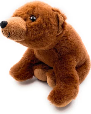 A brown teddy bear is sitting on a white background.