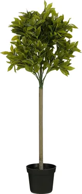 Image de Mica Decorations Laurier plante artificielle - H120 x Ø40 cm - Vert