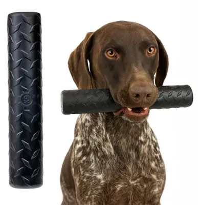 Productafbeelding van Koelhalsband voor honden