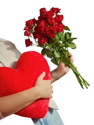 Produktbild von Blumenstrauß Kuschelmoment | Geschenk - frische Blumen | Blumenversand von BLOOMY DAYS