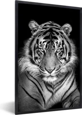 Produktbild von MuchoWow® MuchoWow® Gerahmtes Poster Tiger - Raubtier - Schwarz - Weiß 40x60 cm - Poster mit zchwarzem Bilderrahmen - Papierdruck - Wandbilder