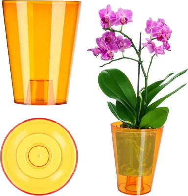 Ornella Vaso Per Orchidee In Plastica 13 Cm – Con Fondo Rialzato Per Drenaggio E Areazione, Prodotto In UE