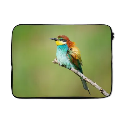 Produktbild von MuchoWow® Laptop Hülle 13 Zoll Vogel - Tiere - Bienenfresser Laptoptasche - Laptophülle - Sleeve - Rundumschutz