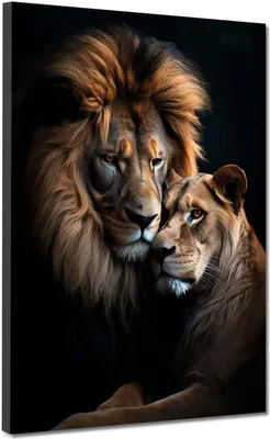 Produktbild von Löwenpaar Löwen Black Style Leinwandbild Wandbild Kunstdruck XL Wanddeko: 30x40x2cm