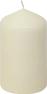 Produktbild von Stumpenkerzen Champagner 100/57 mm, 12 Stück Steinhart Kerzen in RAL-Kerzen Güte Qualität