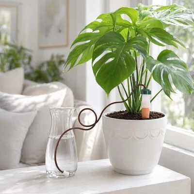 Imagen del producto de Sistema de riego de 6 unidades, dispensadores de agua de 10,5 cm con manguera de 76 cm, para plantas de interior