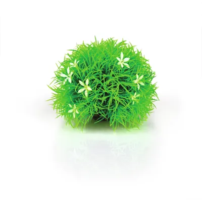 Produktbild von biOrb Gewächsball Gänseblümchen (46086)