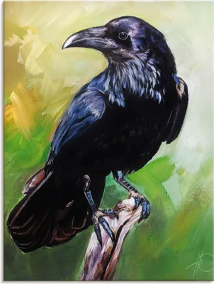 Produktbild von ARTland Leinwandbild Der Rabe in Grün Größe: 30x40 cm