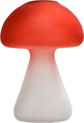 Image de Vase à champignons givrés Vase hydroponique en verre transparent Décoration intérieure ? Décoration de flacons d'aromathérapie