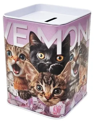 Image de Boîte de rangement en métal avec motif de chat, à rabat, dimensions : 11 x 8 cm