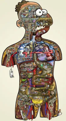 Produktbild von Human Project lebensgroß Cartoonposter