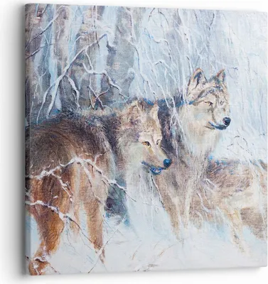 Produktbild von Bild auf Leinwand - Leinwandbild - Wolf Tier Wald - 30x30cm - Wand Bild - Wanddeko - Wandbilder - Leinwanddruck - Bilder - Kunstdruck - Wanddekoration - Leinwand bilder - Wandkunst - AC30x30-3770