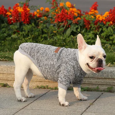 Produktbild von Hundesweatshirt - Grau S