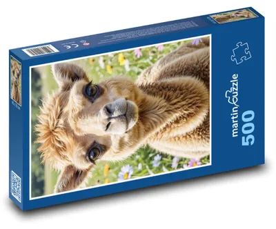 Zdjęcie produktu dla martinpuzzle - Puzzle 500 elementów - Wierzchowiec