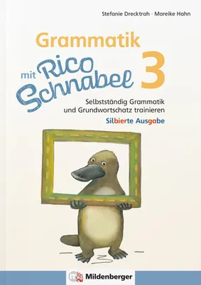Produktbild von Grammatik mit Rico Schnabel, Klasse 3 - silbierte Ausgabe