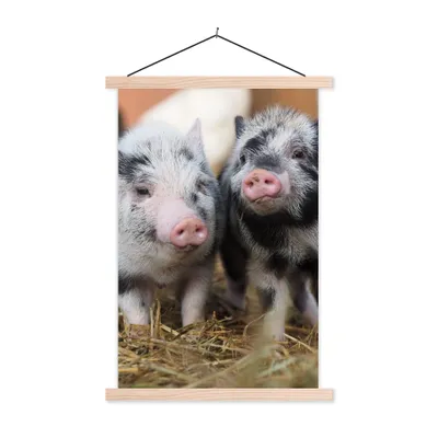 Produktbild von MuchoWow® Textilposter Schwein - Tiere - Ferkel 60x90 cm mit holzfarbenen Rahmen - Textil
