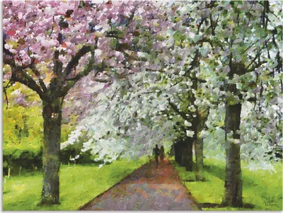 Produktbild von ARTland Wandbild Alu für Innen & Outdoor Blühende Kirschen Größe: 40x30 cm