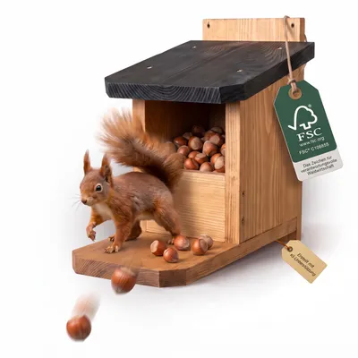 Produktbild von Falinko Premium Eichhörnchen-Futterhaus, wetterfeste Futterstation