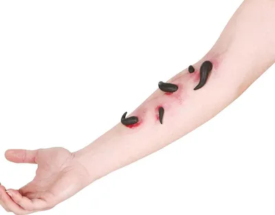 Produktbild von Tierisch Gruselige Blutegel Halloween Dekoration Schaurig Party Horror Set Realistisch, Farbe: Schwarz